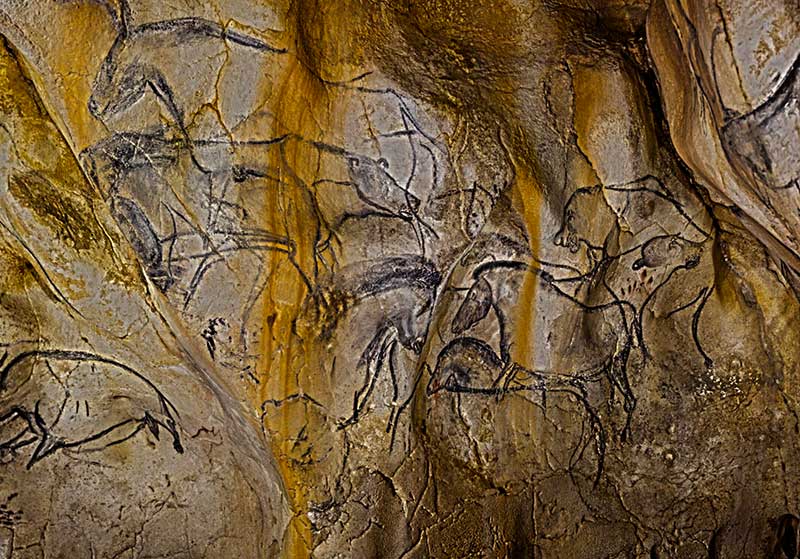 Visite de la Grotte Chauvet